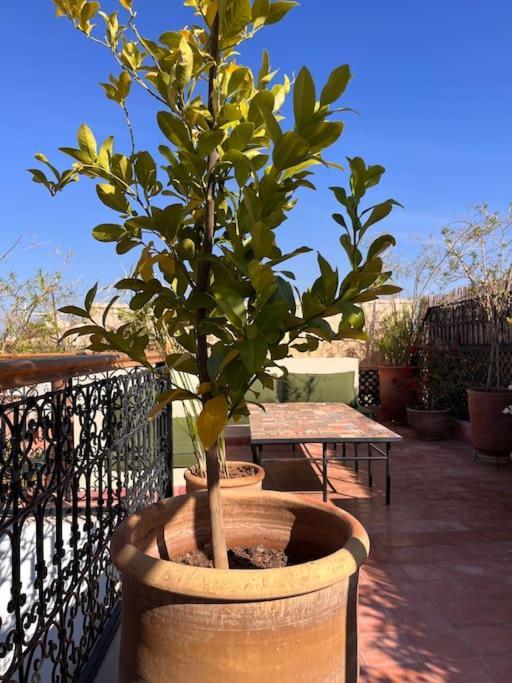 Riad Dar Fannan En Exclusivite Marrakesh Exterior foto